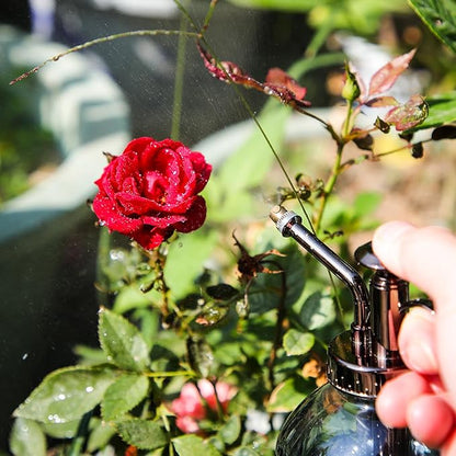 OFFIDIX Glass Plant Spray Bottle Plants Mister for Inside Small Watering Can for Indoor House Vintage Plant Spritzer Succulent Watering Sprayer Bottle