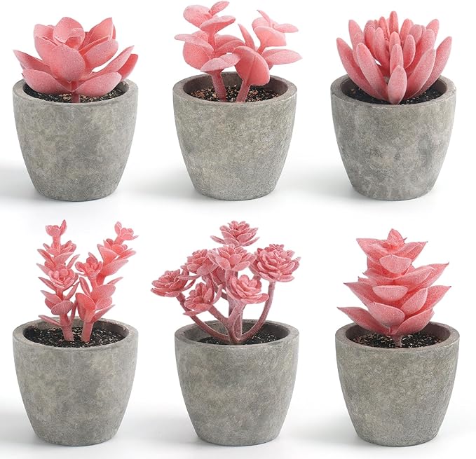DomeStar 6PCS Small Fake Succulents Plants, Pink Artificial Plants Office Living Room Kitchen Bathroom Decor Desk Decor for Women