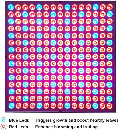 Diboys LED Grow Lights, 75W Growing Lamp Bulbs for Indoor Plants, Red Blue Full Spectrum Plant Light for Seedling, Gardening, Hydroponics, Greenhouse