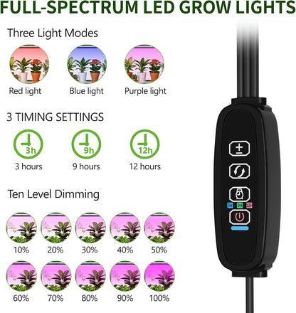 SUNYRISY Indoor Greenhouse with Grow Lights Plant Stand Shelf, 4 Tier Wall in Mini Small Greenhouse Kit with Zippered PVC Tent for Garden Seed Starting Tray, 36W Full Spectrum