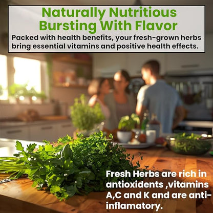 5 Herb Seeds Variety Kit, Oregano, Cilantro, Parsley, Basil, Chives