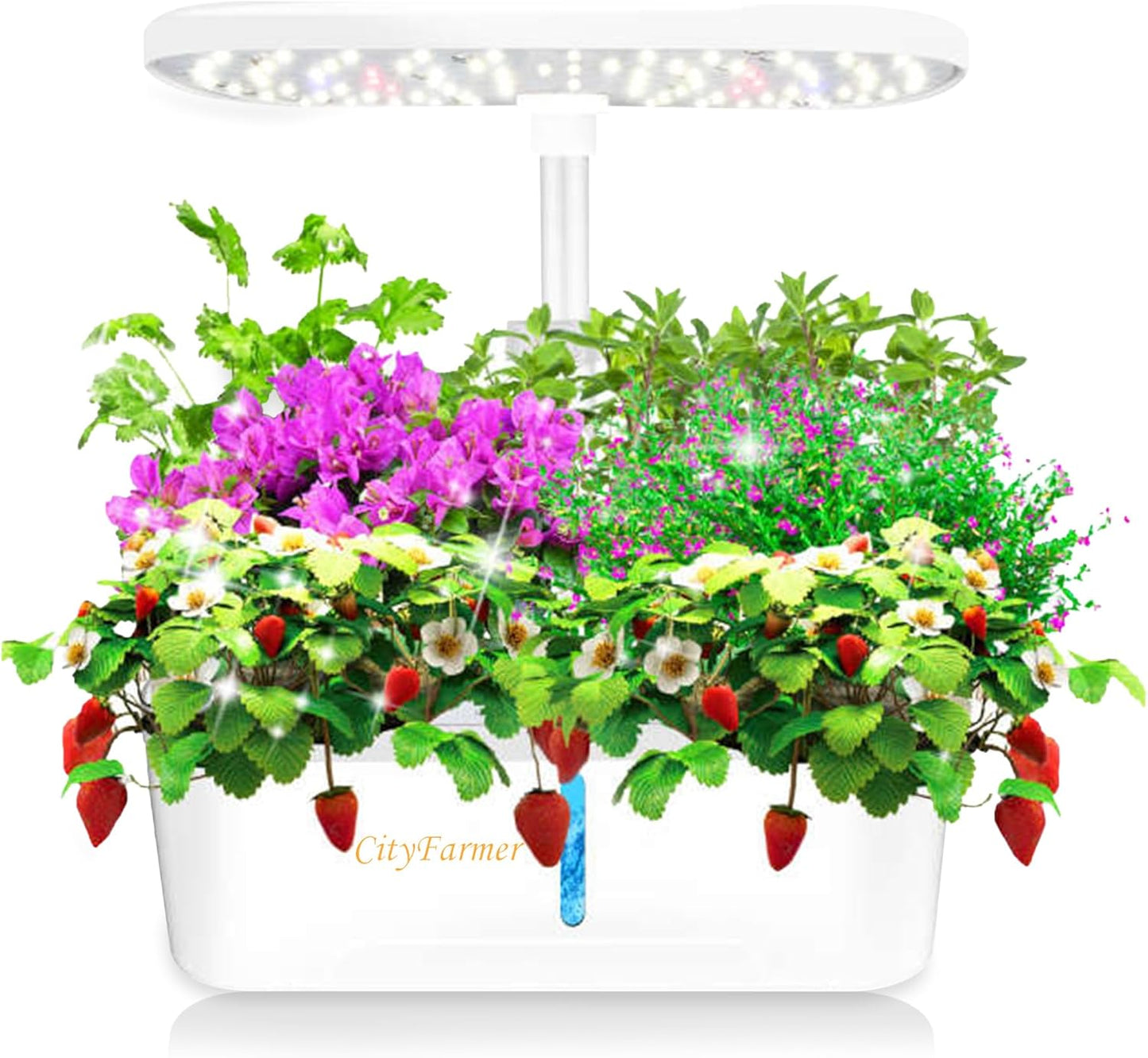 Indoor Hydroponics Growing System: Indoor Fresh Vegetable, Herb Garden Kit with LED Grow Light Quiet Smart Water Pump Automatic Timer - Planter for Home Kitchen Office (White, 12 pod)