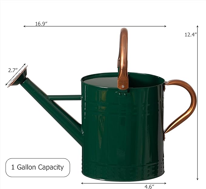 Gardenised 1 Gallon Galvanized Metal Watering Can with Removable Long Spout & Sprinkler Head for Indoor & Outdoor Use Ideal for Garden Flowers Potted Plants Houseplants Modern Home Accessories, Green