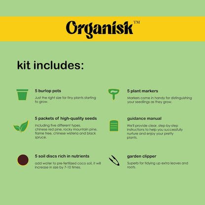 Bonsai Starter Kit - 5 Unique Tree Types, Special DIY Garden Hobby Kits - Great for Plant Lovers, for Kids, Men, Women, and Bonsai Enthusiasts