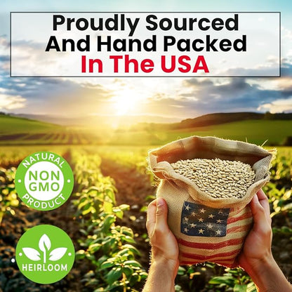 NatureZ Edge Premium Cat Grass Seeds for Indoor Cats, Non GMO - 1/2 lb Oat & Barley Grass for Indoor Cats, Cat Plant, Kitty Lawn, Pet Grass, Hierba para Gatos, Made in USA