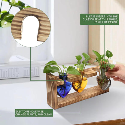 Plant Terrarium Propagation Stations Hydroponics Home Garden Decoration Gift for Women with Wooden Stand Heart Shaped Colored Glass Vase