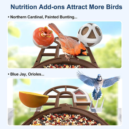 PeckCam® Bird Feeder with Camera with AI Identify 10000+ Birds Species, 3 Solar Panels, 2K Live View, Instant Arrival Alerts, Smart Bird House with Cam, Gift for Bird Lovers