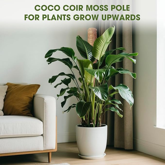 4 Pcs 21 Inch Moss Pole Monstera Plant Support, 68 Inch Moss Poles for Climbing Plants, Coco Coir Plant Stakes Support for Indoor Plants Moss Pole Sticks for Climbing Potted Live Plants, Philodendron