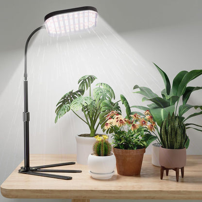 Super-Bright Grow Light 100W 336LEDs, 6000K White Full Spectrum Plant Growing Lamp for Home Office Indoor Plants,Adjustable Height & Auto Timer 4 8 12Hrs, 12V 3A High Power Output for Faster Growth