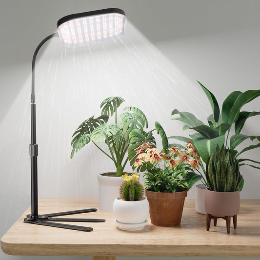 Super-Bright Grow Light 100W 336LEDs, 6000K White Full Spectrum Plant Growing Lamp for Home Office Indoor Plants,Adjustable Height & Auto Timer 4 8 12Hrs, 12V 3A High Power Output for Faster Growth