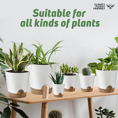 Indoor Self Watering Planters with Drainage Holes and Saucers, 8, 7, 6.5, 6, 5.5, 5 Inches, White, 6 Pots
