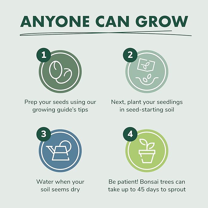 Garden Republic Bonsai Tree Kit - Grow 3 Mini Bonsai Trees, Indoor Plant Growing - Starter Kit with Seeds, Soil, Planters & Shears, Gardening Gifts for Women, Fathers Day Gardening Gifts