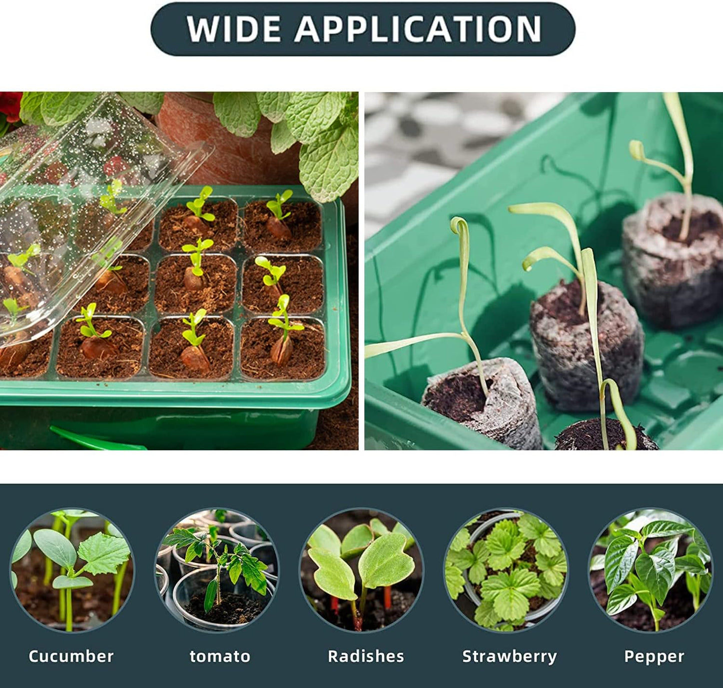 Seedling Starter Tray 6 Packs Seed Starter Tray with Grow Light, Smart Controller Seed Starting Trays Kit with Humidity Dome (72 Cells) Indoor Gardening Plant Germination Trays Green