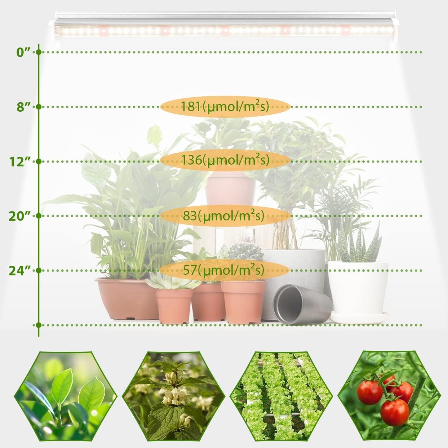 Grow Light T5 1.4Ft (8pcs x 10 Watts),5000k White Full Spectrum LED Lamp Plant Light Strips for Indoor Plant Growing,End-to-End Connectable with V-Shaped Reflector