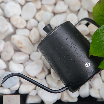 OFFIDIX Watering Can for Indoor Plants,Long Spout Metal Stainless Steel 21 oz/600 ml Watering Can with 14 oz/400ml Glass Plant Mister Spray Bottle for Plant Bonsai