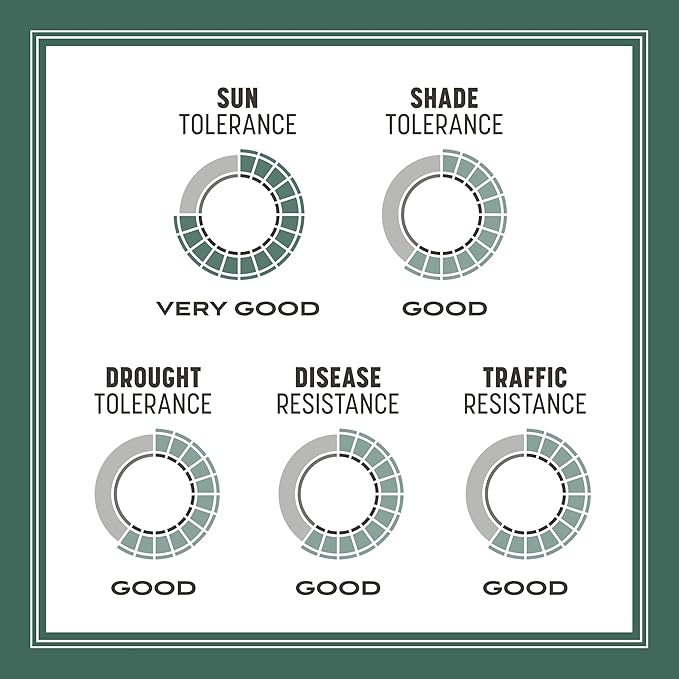 Pennington Kentucky 31 Tall Fescue Penkoted Grass Seed 40 lbs