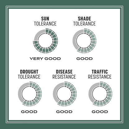 Pennington Kentucky 31 Tall Fescue Penkoted Grass Seed 40 lbs