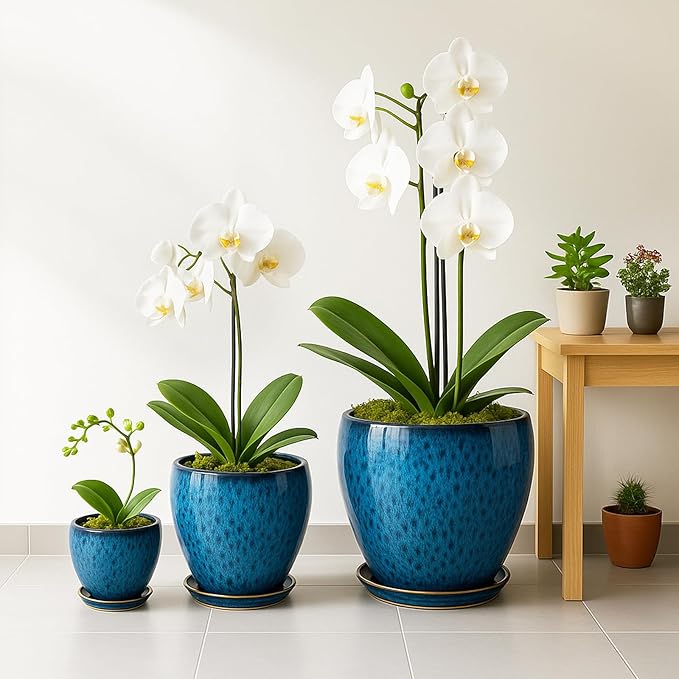 Deep Dream 6 Inch Plant Pots- Ceramic Planter Pot with Drainage Hole and Saucer, Round Flower Pot for Indoor Outdoor Succulent, Snake Plants and Cactus, Blue