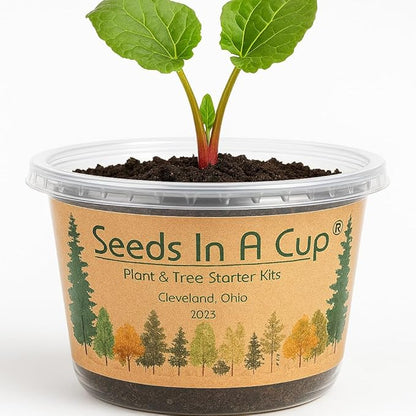 Seeds In A Cup® Plant Grow Kit – 60+ Varieties of Vegetables, Herbs & Flowers | Indoor & Outdoor Seed Starter for Kids & Adults | Grow Your Own Garden | Gardening Gift (Dill)