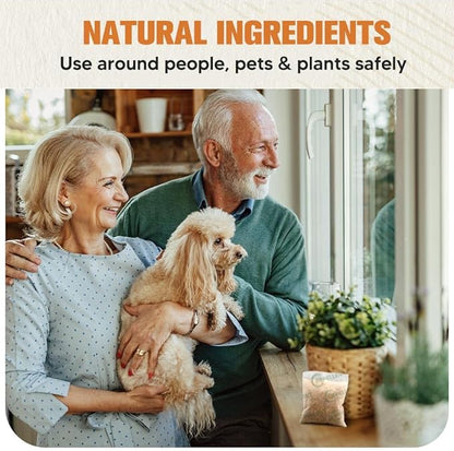 Pest Repellent, Mouse Repellent, Rodent Repellent for Indoor/Outdoor, Natural Rat Repellent for House, Keep Mice, Roach, Ant and Spider Away from Home, Protects 120 sq ft - 8P