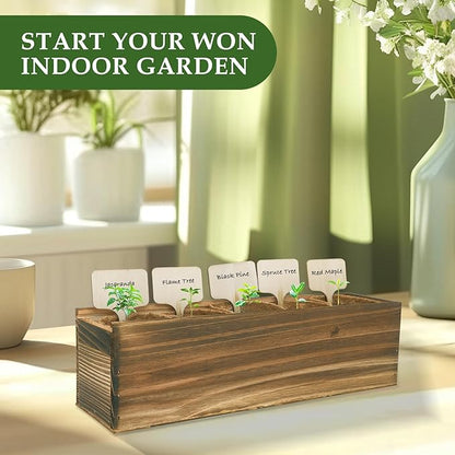 5 DIY Bonsai Tree Kit for Beginners, Complete Indoor Gardening Starter Kit with Seeds, Soils, Pots & Tools, Unique Birthday Gifts Ideas for Women, Men