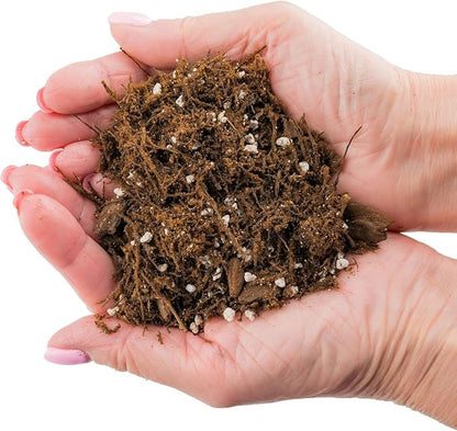 Premium Gardenera House Plant Potting Mix - 10 Quart - Fern + New Zealand Bark + Perlite | Great for Pothos, Spider Plants, Montsera, Philodendron, English Ivy (2 Bags of 5 Quart)