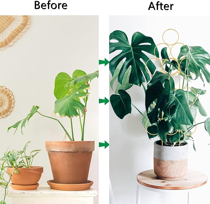 Trellis for Climbing Plants Indoor 15.7 Inch, Small Plant Trellis for Potted Plants, 3 Pack Stackable Circle Garden Houseplant Trellis for Vines