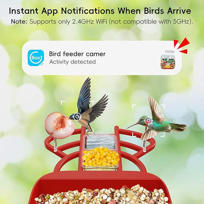 Smart Bird Feeder with Camera, Solar Panel & 5200mAh Battery, 4K HD Video, AI Identification, Instant Arrival Alerts & Alarm, IP65 Weatherproof, 32GB Card, 2L Capacity, Bird Lover’s Smart Companion