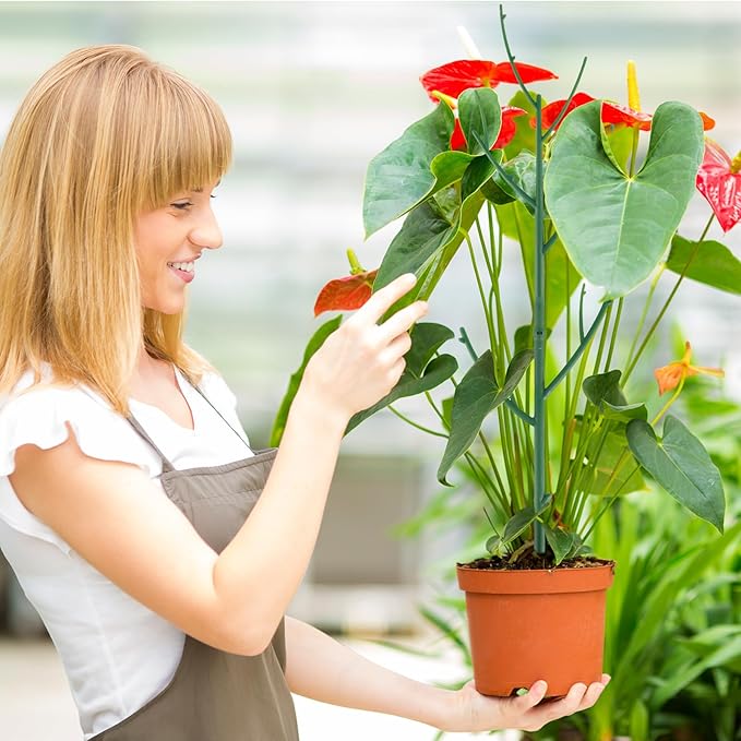 10 Pack Stackable Monstera Plant Support, Garden Stakes for Climing Plants Stem Support, Durable Plant Accessories for Indoor Outdoor Potted Plants, Pothos, Vine, Flower Use