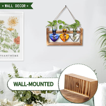 Plant Terrarium Propagation Stations Faith Hope Love Hydroponics Home Garden Decoration Gift for Women with Wooden Stand Heart Shaped Colored Glass Vase