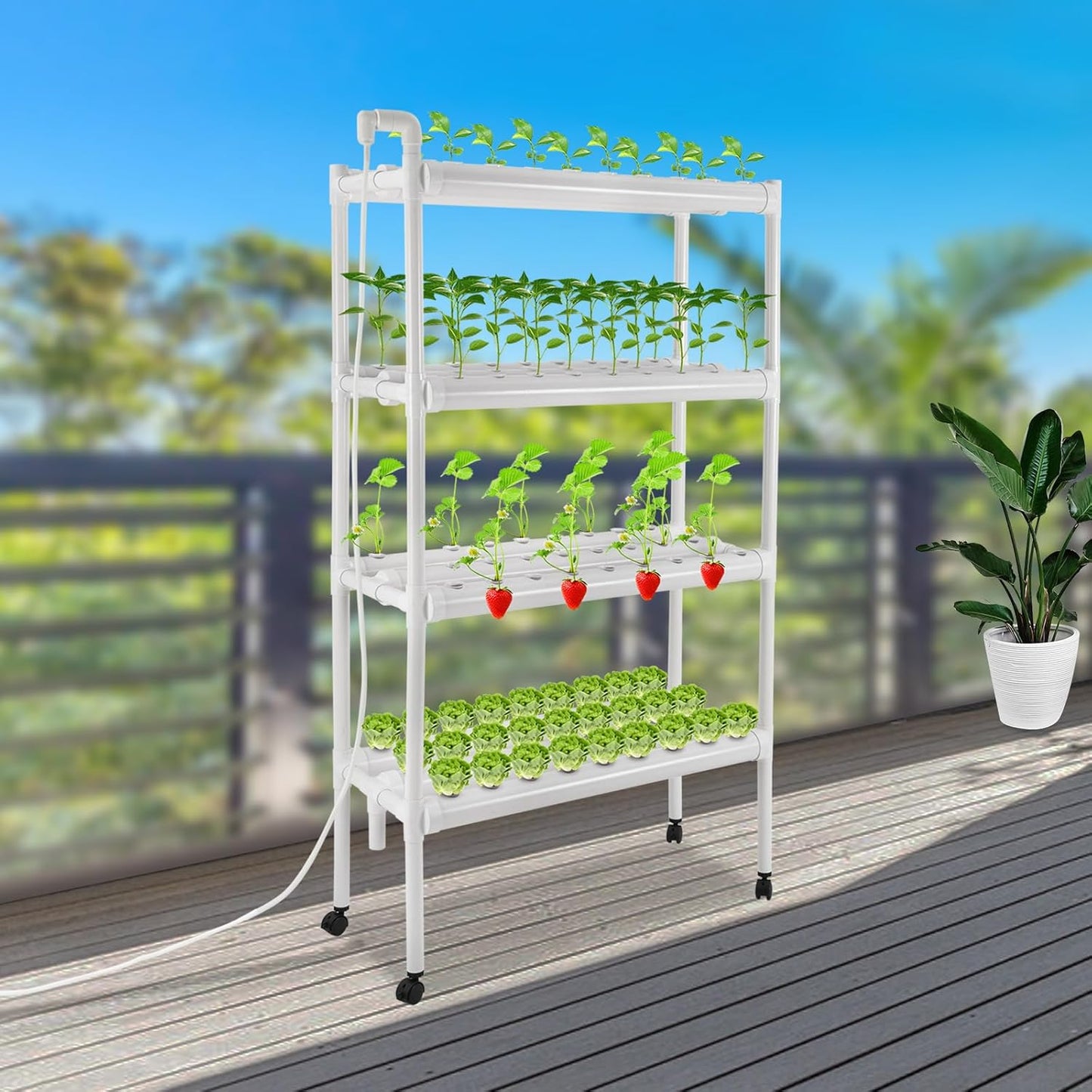 Hydroponics Growing System with Water Pump and Timing, 4 Layers Hydroponic Vegetable Growing Kit 108 Sites Food-Grade PVC-U Pipes for Fruits, Vegetables, Herbs