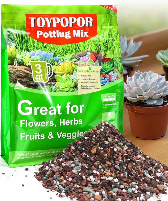 TOYPOPOR Succulent Soil, Cactus Potting Mix 6 Pounds/3QTS, High Drainage, Pre-Mixed Ready to Use for All Succulent Varieties, Indoor Plants, Bonsai, Terrarium, Houseplant, 70% Particles 30% Soil