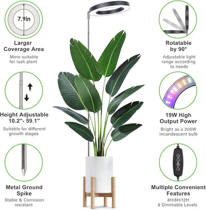 LORDEM Grow Light for Indoor Plants, 7.9" Full Spectrum LED Plant Grow Light, Height Adjustable Growing Lamp with Auto Timer 4H/8H/12H, 6 Dimmable Levels, Black, 1 Pack