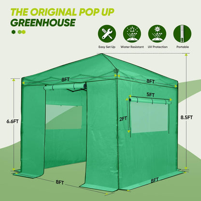 EAGLE PEAK Instant Pop-up Greenhouse, Indoor Outdoor Plant Gardening Green House, Roll-Up Zipper Doors and Side Windows, Walk in 8x8 ft, PE Cover, Green/Clear