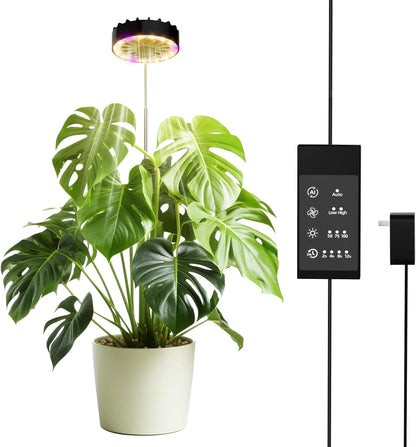 Halo Grow Lights for Indoor Plant, 40'' Height Adjustable Plant Grow Lights with Fan, Full Spectrum Led Plant Lights for Indoor Growing with Timer and 3 Levels Dimmable for Small/Medium Plants,1 Pack