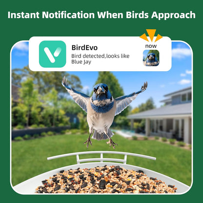 Metal Bird Feeder with Camera,Solar Powered,1.7L Capacity,Auto Capture & AI Identify Bird Species 10000+,2K HD Live Stream Camera,Real-Time Notifications