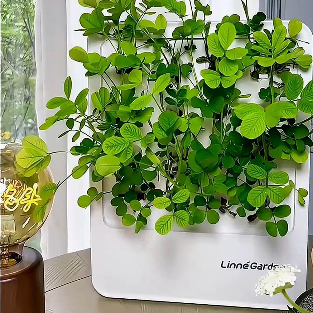 Indoor Garden Hydroponic System with LED Grow Light Indoor herb Garden, Indoor Garden Hydroponic System with LED Grow Light (Gery)