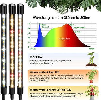 Wolezek Grow Lights for Indoor Plants, 2 Pack 80 LED Full Spectrum Grow Light with Clip, Plant Light with 5000K/3000K/660nm LED Chips, Auto Timer 6/12/16H, Grow Lamp for Seed Starting, Winter Growth