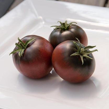 Back to The Roots 100% Organic Heirloom Seeds - Heirloom Cherokee Purple Tomato Seeds for Planting Value Pack (200mg Total)