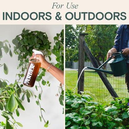 Organic Insecticide & Fungicide for Plants – Indoor & Outdoor Plant – Controls Powdery Mildew, Spider Mites, Aphids, Gnats & More – Safe Pesticide for Houseplant Insect Control, Vegetables & Lawns