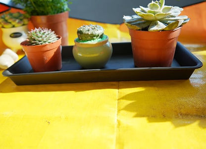 2 Pack of Plastic Plant Tray Saucer Rectangular 20 21 inch, Planter Trays Saucers for Indoors Outdoor, Plant Water Drip Tray for Flower Pot Planter, Windowsill Trays (8.5 X 21'', Black)