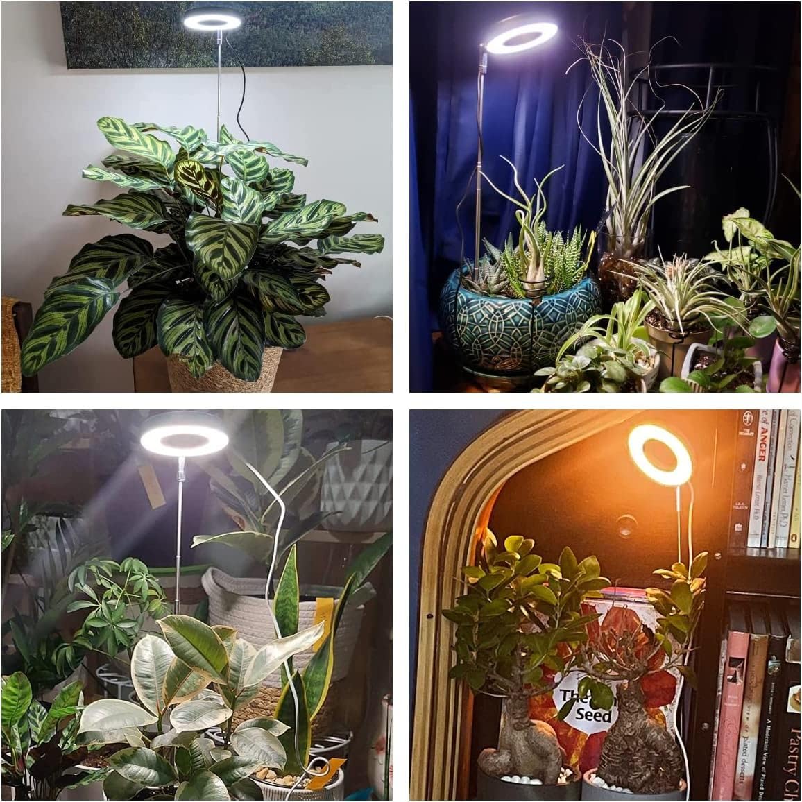 Grow Lights for Indoor Plants, Full Spectrum Plant Lights for Indoor Growing, Height Adjustable Halo Grow Light with Base, 3 Optional Spectrums, Auto Timer 3/9/12Hrs, 10 Brightness, 5 Pack