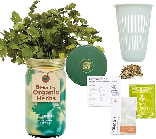 Modern Sprout Mason Garden Jar - Self-Watering Hydroponics Growing System Kit with Organic Herb Seeds - Jar Planter for Indoor Herb Garden - Seed Starter Kit - Home Decor & Gifting - Cilantro