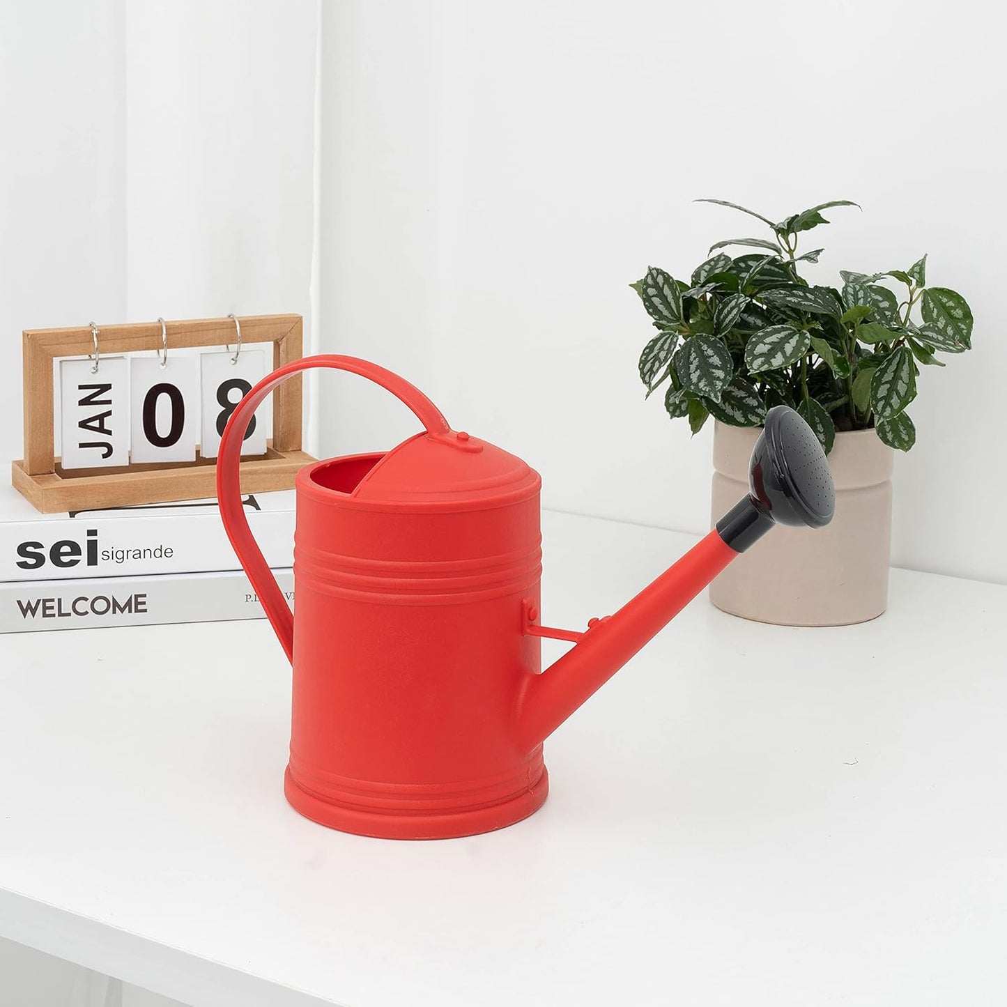 Plastic Indoor Watering Can with Sprinkler Head - 68 oz, 1/2 Gallon