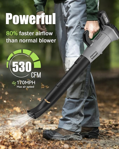 Electric Leaf Blower Cordless 530CFM - 2 X 3Ah Batteries and Fast Charger, 20V Lightweight Handheld Battery Leaf Blower with 7-Speed Control, 2 Extended Tubes for Yard, Lawn & Garden