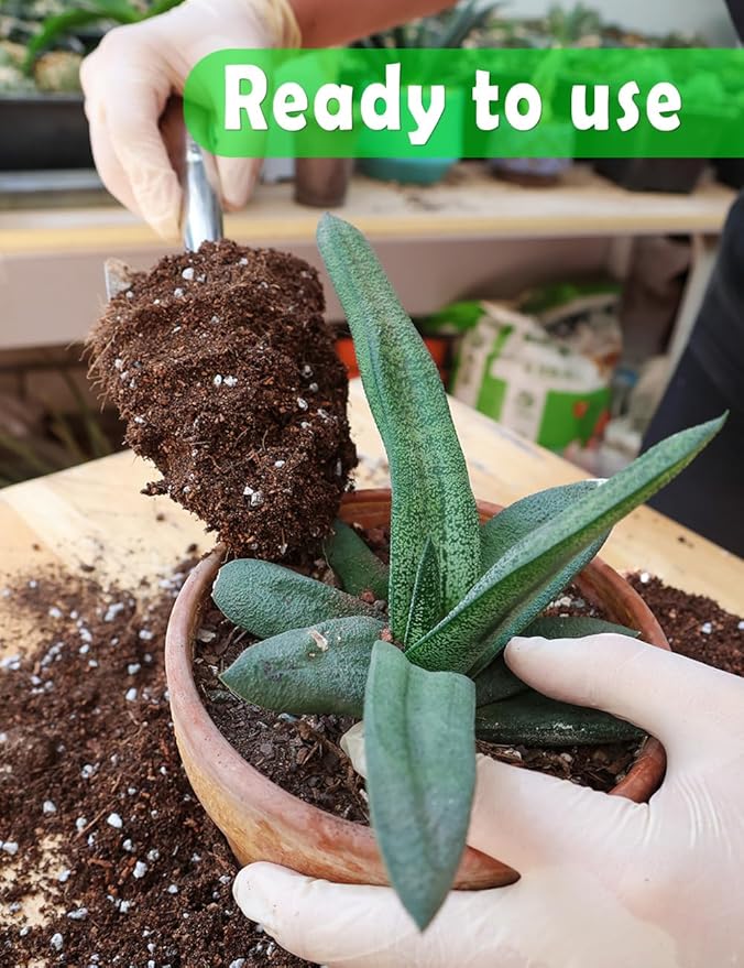 TOYPOPOR Potting Soil for All Indoor Houseplants, (3qt) Contains Perlite, Peat Moss, Coco Coir and Rice Charcoal, Well Draining Potting Mix Light, Aerated Texture for Healthy Plant Roots, Fast Growth