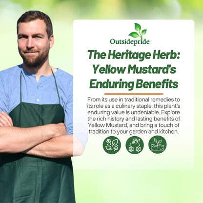 Outsidepride Yellow Mustard Seeds - 10000 Pcs Nutrient-Rich, Flavorful Annual Microgreen Seeds for Planting, Easy-to-Grow, Ideal for Indoor & Outdoor Cultivation, Soil & Hydroponic Systems