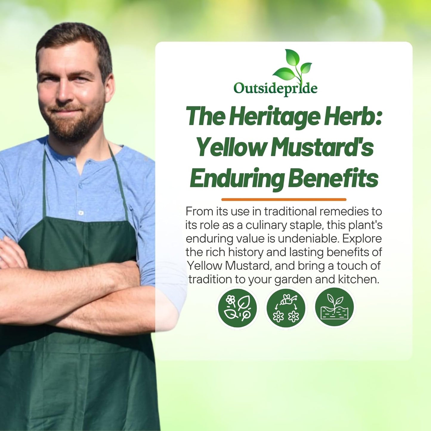 Outsidepride Yellow Mustard Seeds - 5000 Pcs Nutrient-Rich, Flavorful Annual Microgreen Seeds for Planting, Easy-to-Grow, Ideal for Indoor & Outdoor Cultivation, Soil & Hydroponic Systems