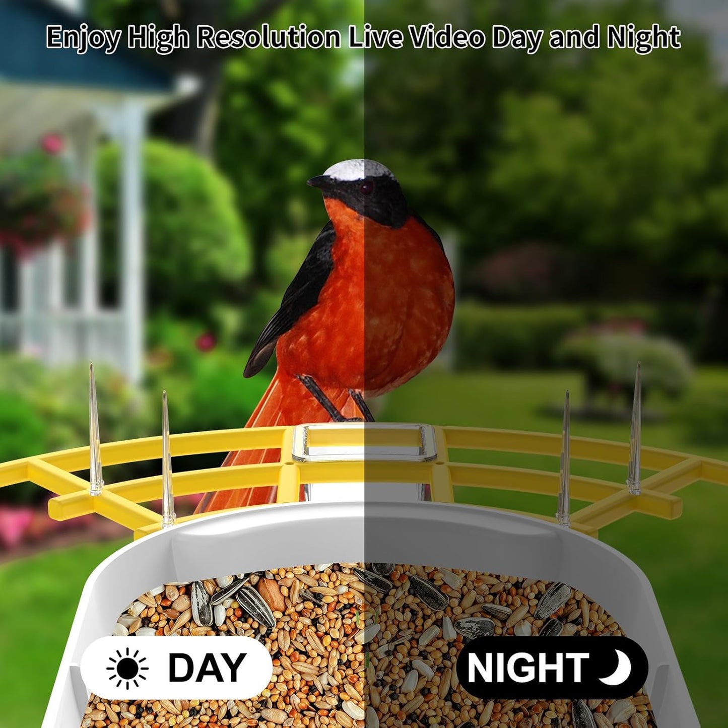 Smart Bird Feeder with Camera, Birds AI Identify, Motion Detection with Real-Time Notice, WiFi FHD Bird Camera, Auto Capture, Solar Powered Outdoor Charging Bird House, IP65 Waterproof,Yellow