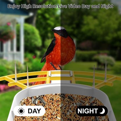 Smart Bird Feeder with Camera, Birds AI Identify, Motion Detection with Real-Time Notice, WiFi FHD Bird Camera, Auto Capture, Solar Powered Outdoor Charging Bird House, IP65 Waterproof,Yellow